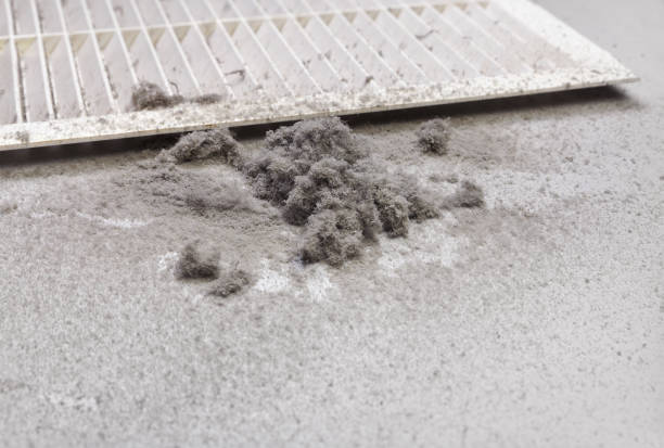 Best Air Duct Cleaning Near Me  in Sterling Heights, MI
