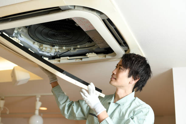 Best HVAC Duct Inspection Services  in Sterling Heights, MI