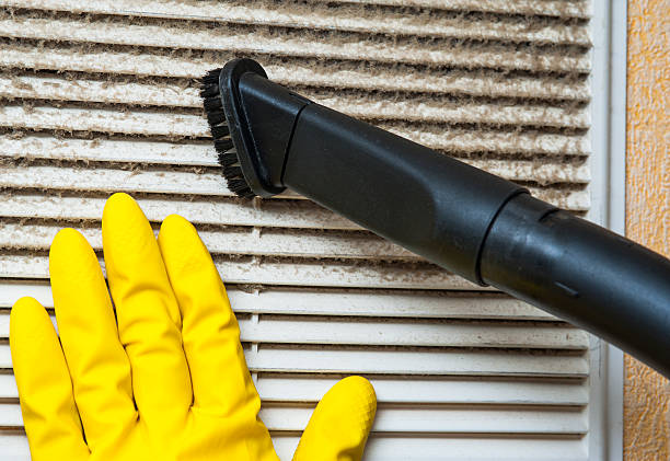 Best Residential Air Duct Cleaning  in Sterling Heights, MI